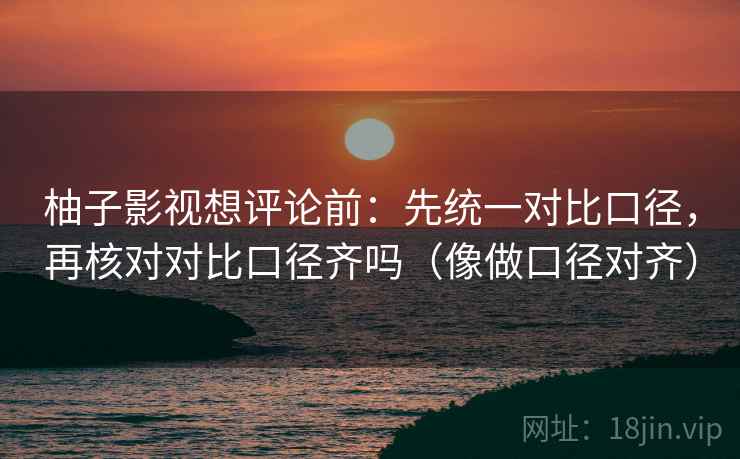 柚子影视想评论前:先统一对比口径,再核对对比口径齐吗(像做口径对齐) 第2张 柚子影视想评论前:先统一对比口径,再核对对比口径齐吗(像做口径对齐) 第2张